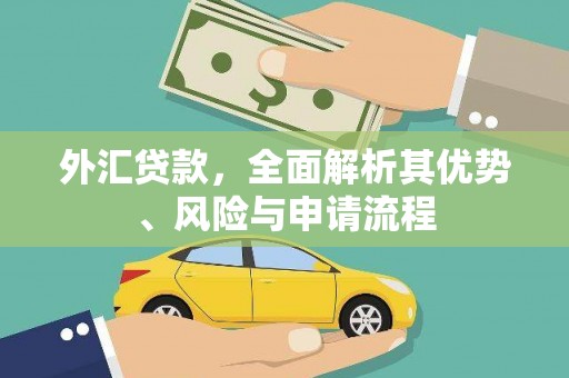 沾益外汇贷款，全面解析其优势、风险与申请流程