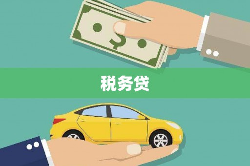 沾益税务贷