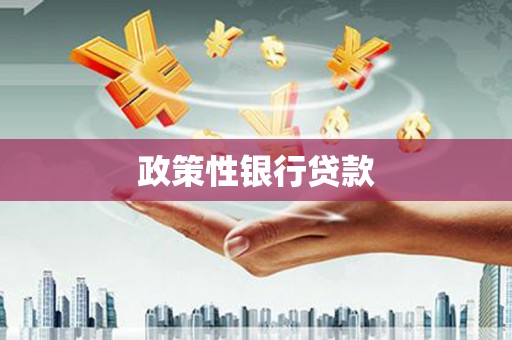 沾益政策性银行贷款