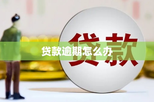 沾益贷款逾期怎么办