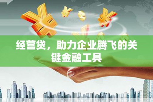 沾益经营贷，助力企业腾飞的关键金融工具