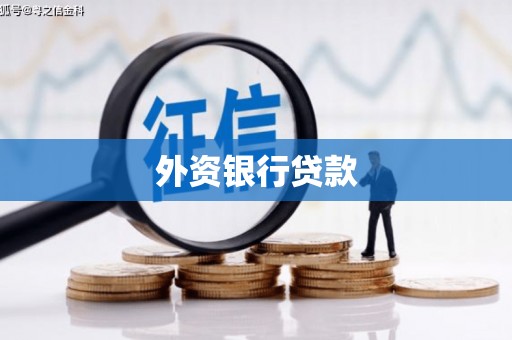 沾益外资银行贷款