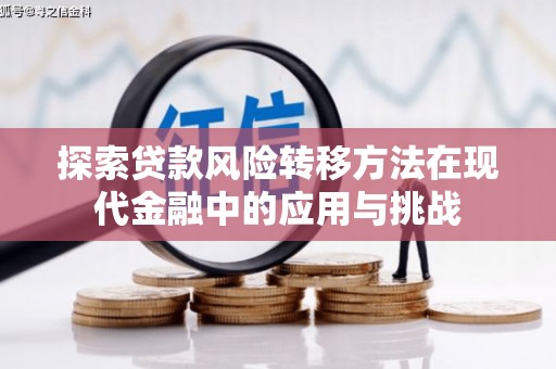 沾益探索贷款风险转移方法在现代金融中的应用与挑战