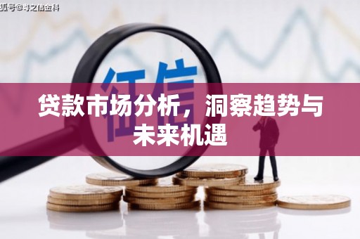 沾益贷款市场分析，洞察趋势与未来机遇