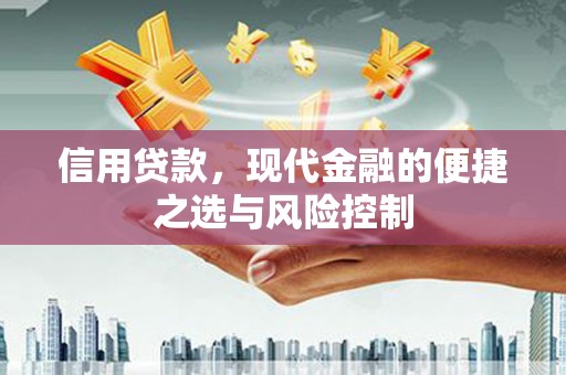 沾益信用贷款，现代金融的便捷之选与风险控制