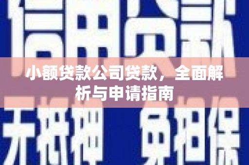 沾益小额贷款公司贷款，全面解析与申请指南