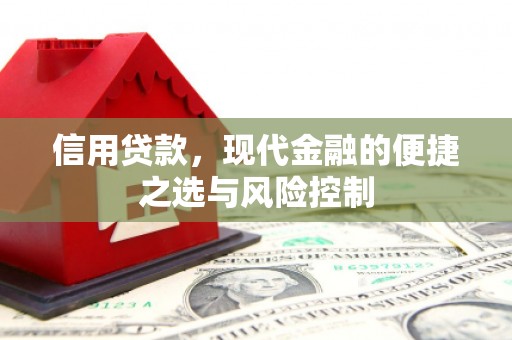 沾益信用贷款，现代金融的便捷之选与风险控制