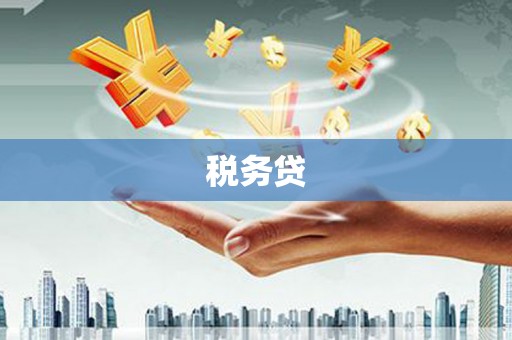 沾益税务贷