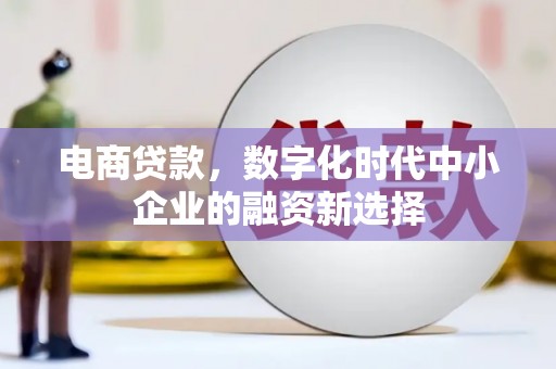 沾益电商贷款，数字化时代中小企业的融资新选择