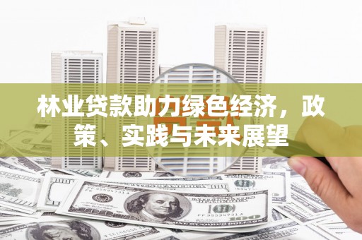 沾益林业贷款助力绿色经济，政策、实践与未来展望