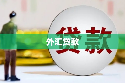 沾益外汇贷款