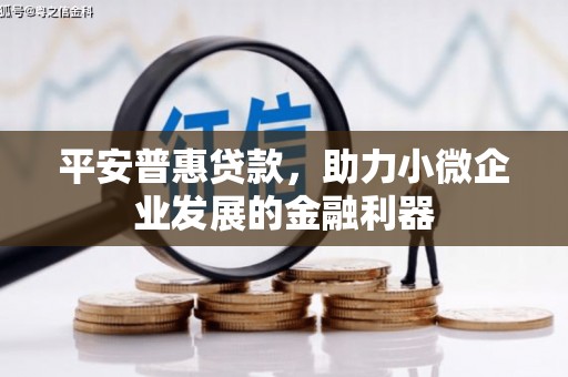 沾益平安普惠贷款，助力小微企业发展的金融利器
