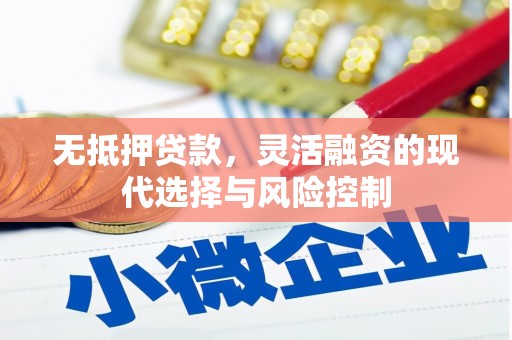 沾益无抵押贷款，灵活融资的现代选择与风险控制