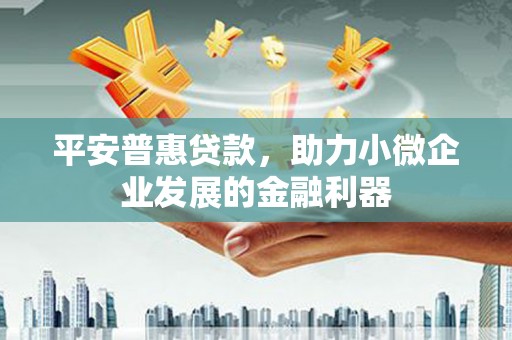 沾益平安普惠贷款，助力小微企业发展的金融利器