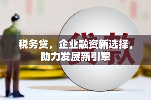 沾益税务贷，企业融资新选择，助力发展新引擎