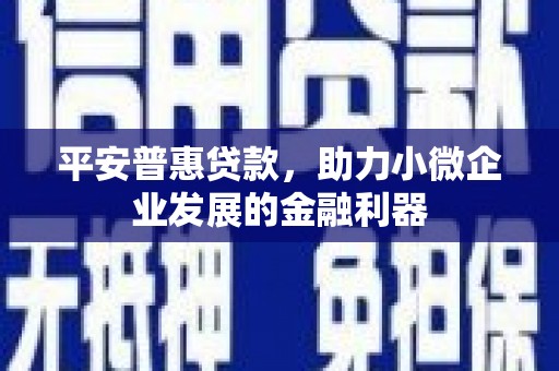 沾益平安普惠贷款，助力小微企业发展的金融利器