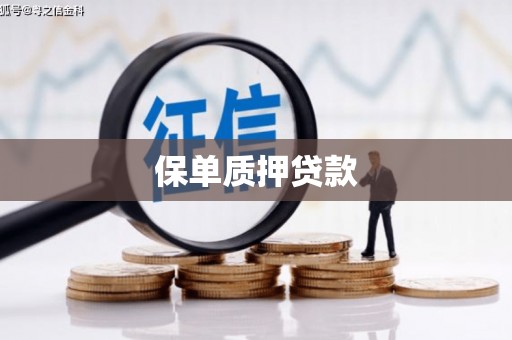 沾益保单质押贷款