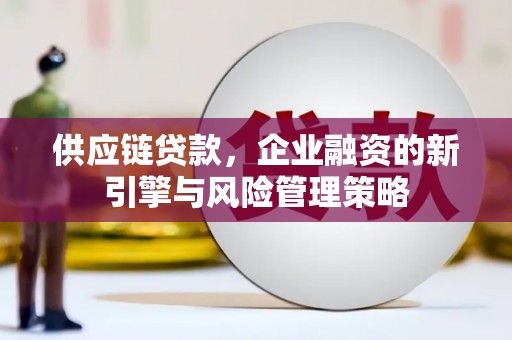 沾益供应链贷款，企业融资的新引擎与风险管理策略