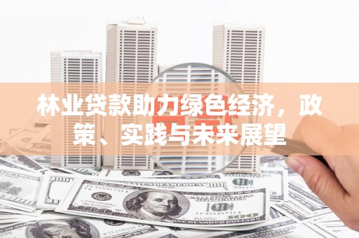 沾益林业贷款助力绿色经济，政策、实践与未来展望