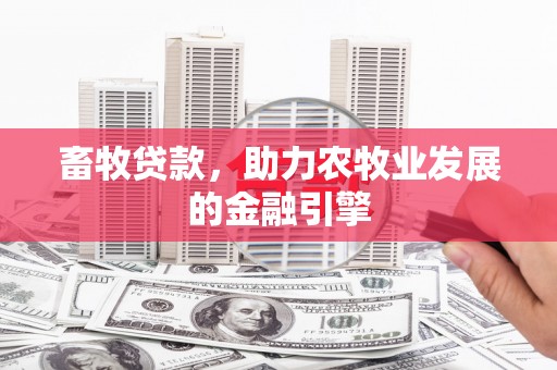 沾益畜牧贷款，助力农牧业发展的金融引擎
