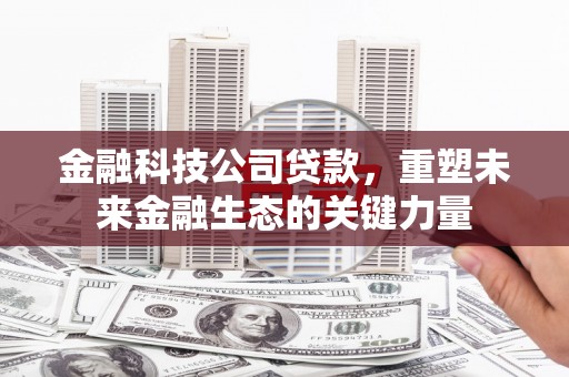 沾益金融科技公司贷款，重塑未来金融生态的关键力量