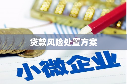 沾益贷款风险处置方案