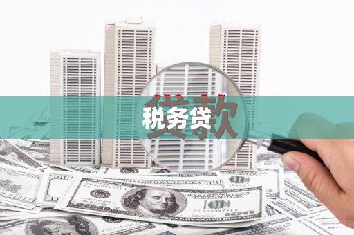 沾益税务贷