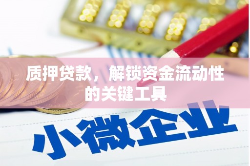 沾益质押贷款，解锁资金流动性的关键工具