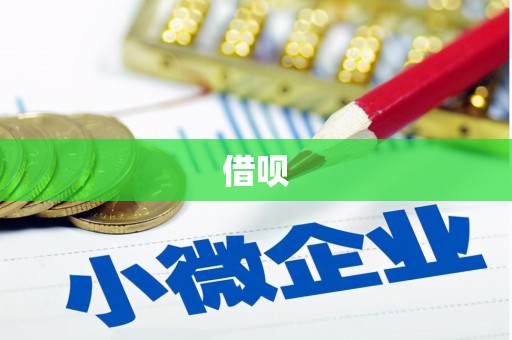 沾益借呗
