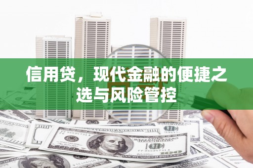 沾益信用贷，现代金融的便捷之选与风险管控
