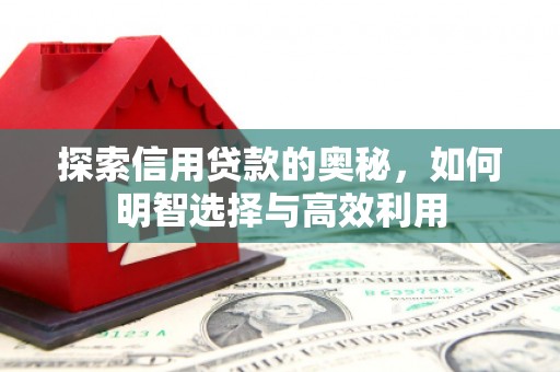 沾益探索信用贷款的奥秘，如何明智选择与高效利用