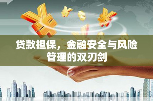 沾益贷款担保，金融安全与风险管理的双刃剑