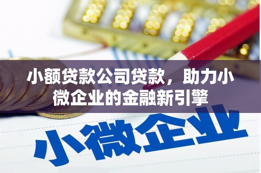 沾益小额贷款公司贷款，助力小微企业的金融新引擎