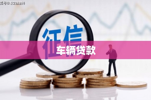 沾益车辆贷款