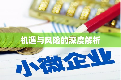 沾益机遇与风险的深度解析