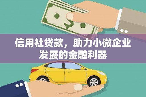 沾益信用社贷款，助力小微企业发展的金融利器