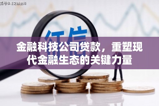 沾益金融科技公司贷款，重塑现代金融生态的关键力量