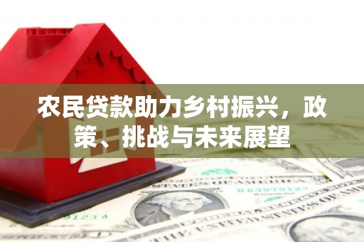 沾益农民贷款助力乡村振兴，政策、挑战与未来展望