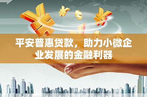 沾益平安普惠贷款，助力小微企业发展的金融利器
