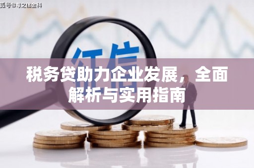 沾益税务贷助力企业发展，全面解析与实用指南