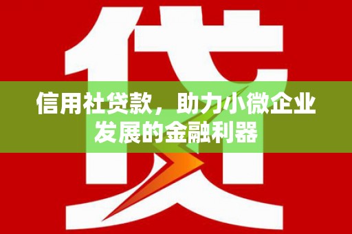 沾益信用社贷款，助力小微企业发展的金融利器