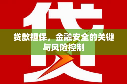 沾益贷款担保，金融安全的关键与风险控制