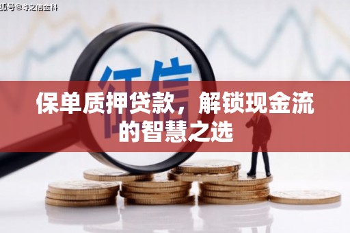 沾益保单质押贷款，解锁现金流的智慧之选