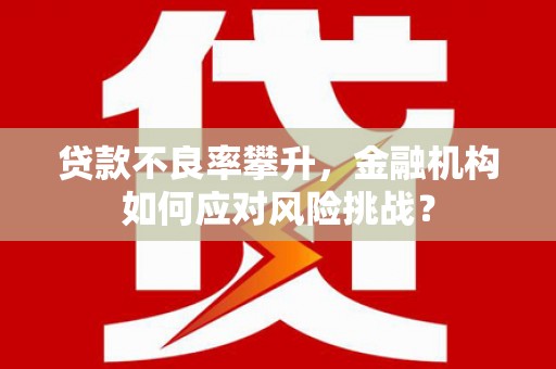 沾益贷款不良率攀升，金融机构如何应对风险挑战？