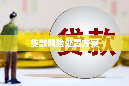 沾益贷款风险处置方案
