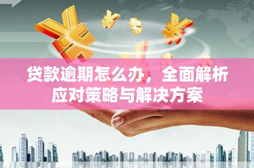 沾益贷款逾期怎么办，全面解析应对策略与解决方案