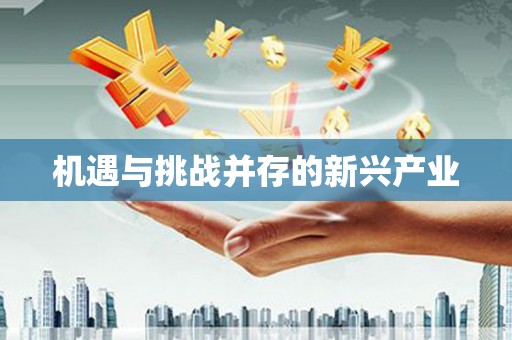 沾益机遇与挑战并存的新兴产业