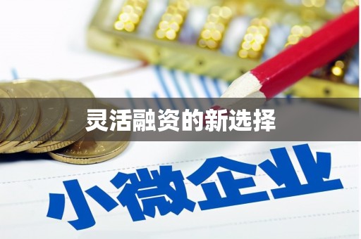 沾益灵活融资的新选择