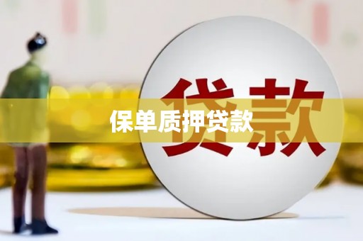 沾益保单质押贷款