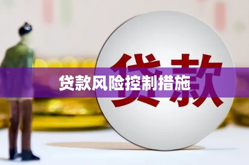 沾益贷款风险控制措施